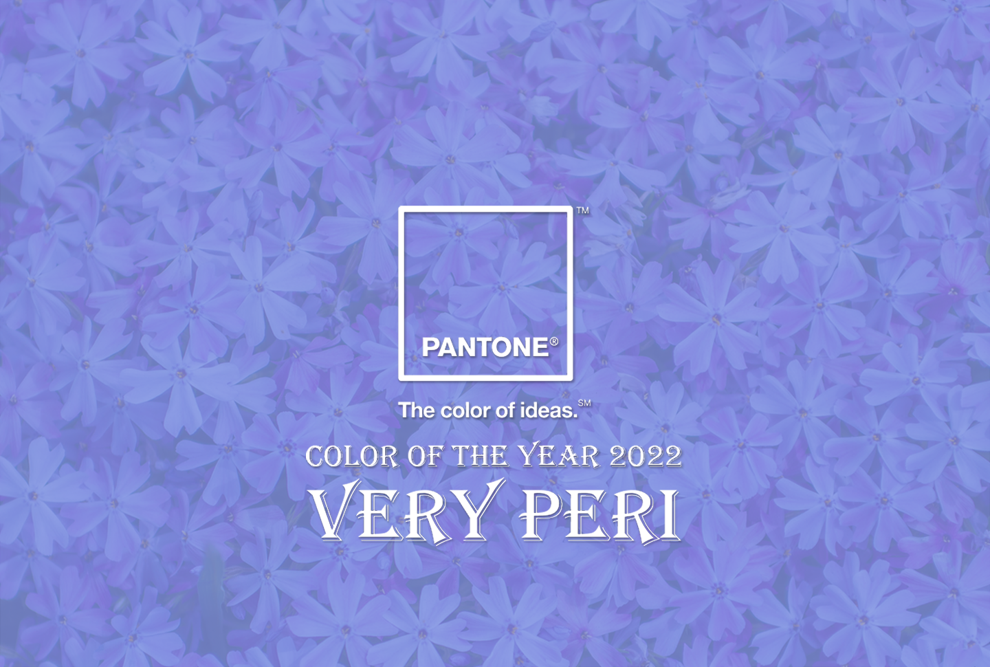 COLOR OF THE YEAR 2022 VERY PERI