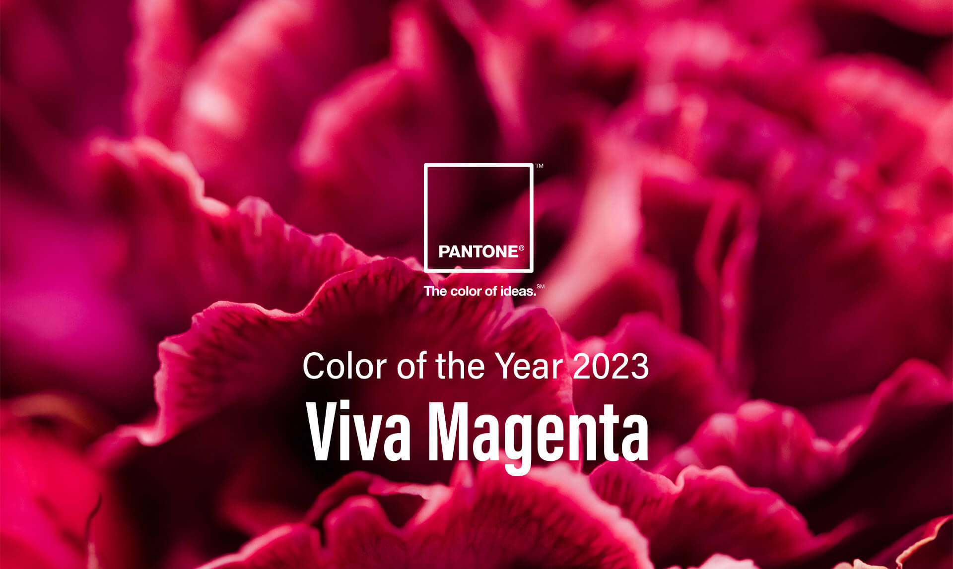COLOR OF THE YEAR 2023 Viva Magenta