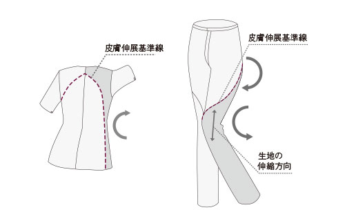 ワコール独自の「皮膚伸展基準線」