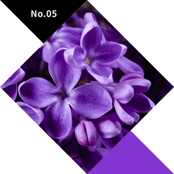 No.05