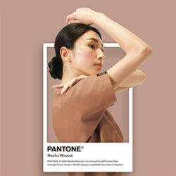 PANTONE Color of the Year 2025